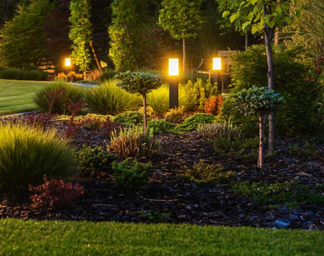 >Landscape Lighting